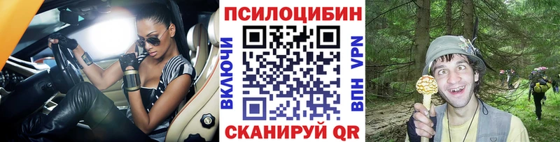 Галлюциногенные грибы Cubensis мега ссылки Нязепетровск цены наркотик